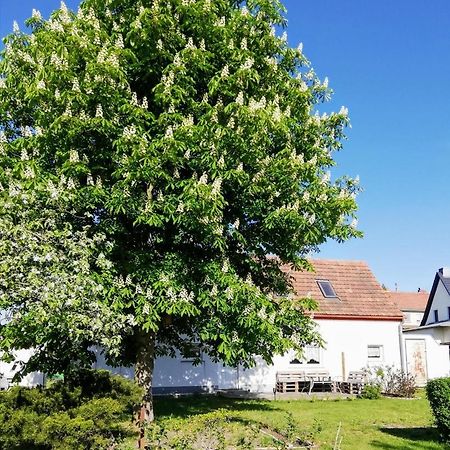 Ferienwohnung Lodig Gross Sarchen 외부 사진